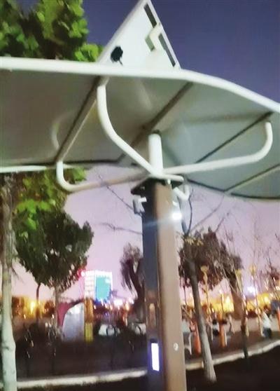 太阳能路灯照明不稳定，市民夜晚遛弯健身竟要自带手电筒，咋回事？  第1张