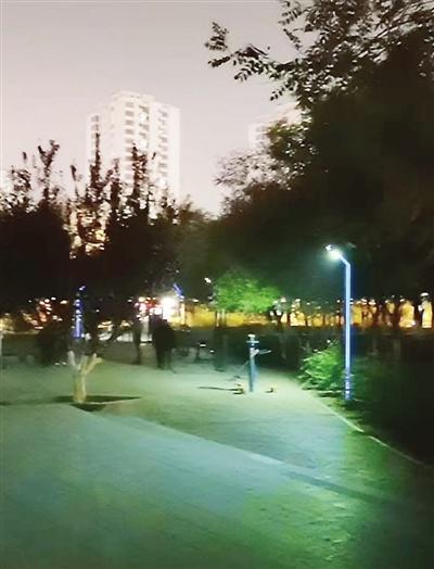太阳能路灯照明不稳定，市民夜晚遛弯健身竟要自带手电筒，咋回事？  第2张