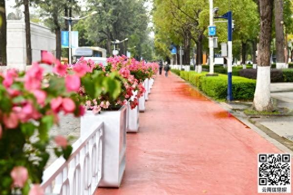 五华区多部门协同发力,翠湖片区全面提升改造,你去过了吗? 第1张 五华区多部门协同发力,翠湖片区全面提升改造,你去过了吗? 第1张