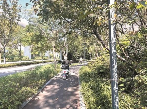 绿道成险道？电动自行车频繁闯入，市民安全谁来保障