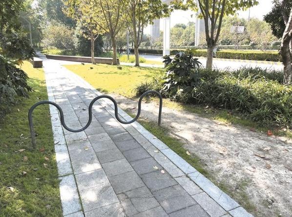 绿道成险道？电动自行车频繁闯入，市民安全谁来保障  第2张
