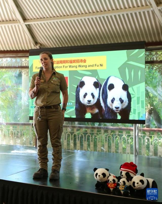 15 年陪伴！旅澳大熊猫网网和福妮即将启程回国，引发无数人泪目  第2张
