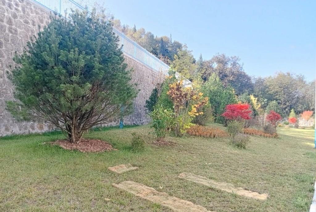 宝鸡市麟游县人民法院创建市级园林单位，绿化覆盖率高达 45.40%  第2张