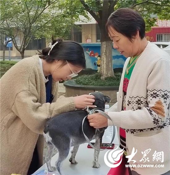 淄博文明办深入开展文明成景八大行动，居民刘晓燕遛狗不铲屎，社区如何引导文明养犬？  第3张
