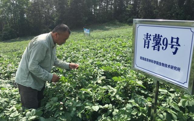 中秘自贸协定升级，秘鲁农产品加速涌入中国，你准备好了吗？  第2张