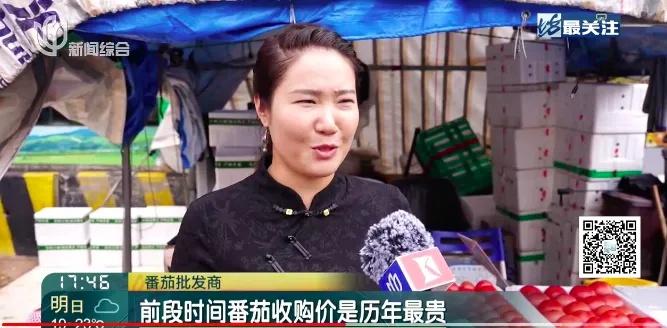 绿叶菜价格持续走低，番茄价格却柿不可挡，你还吃得起吗？  第5张