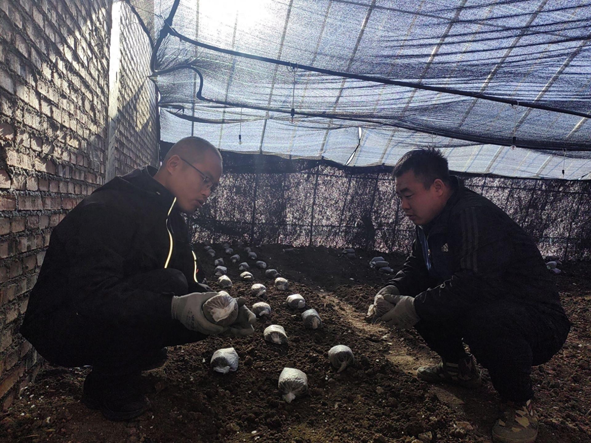 移风易俗新风尚，学技学艺促增收，六户镇这个地方太牛了  第1张