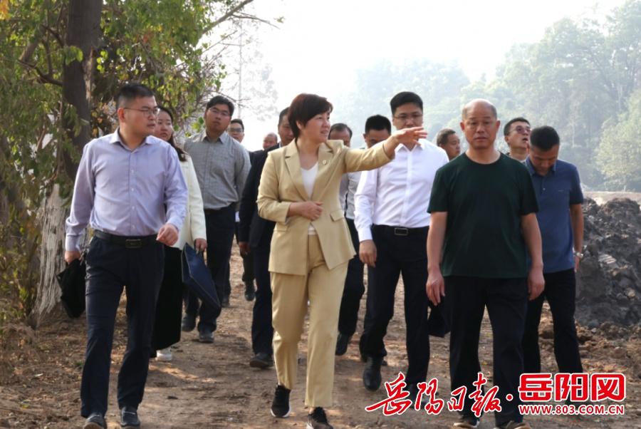 君山备战省旅发大会，书记现场调研，这些项目将有大动作  第2张