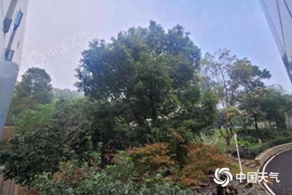 湖南迎强冷空气！气温将骤降 8 至 10℃，周末出行需注意保暖  第1张