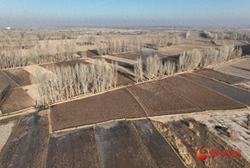 高台县南华镇有序推进农田冬灌，为来年丰收打牢基础  第1张