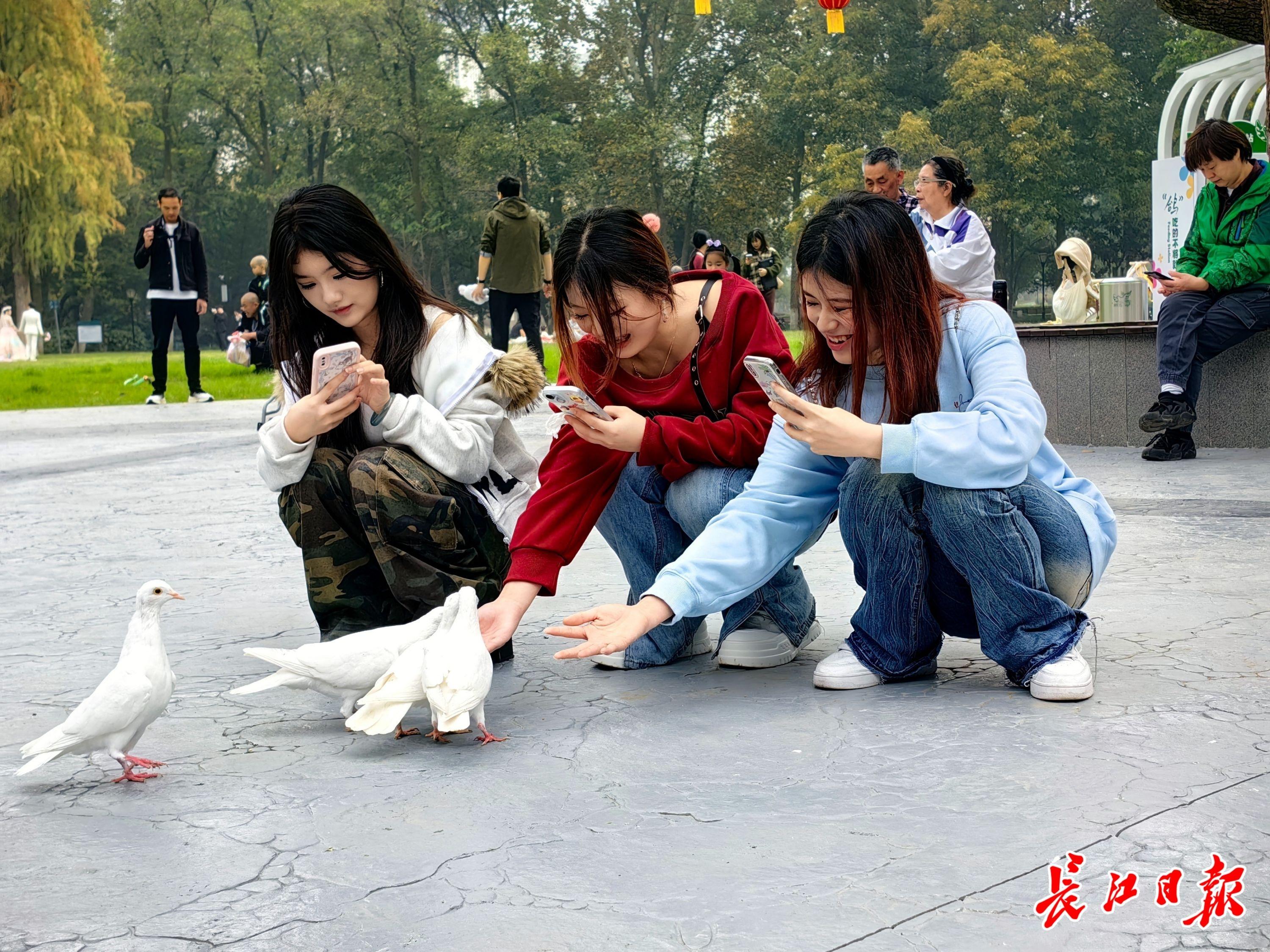 阔别近 10 个月，解放公园鸽子广场重新开放，市民：终于等到你  第2张