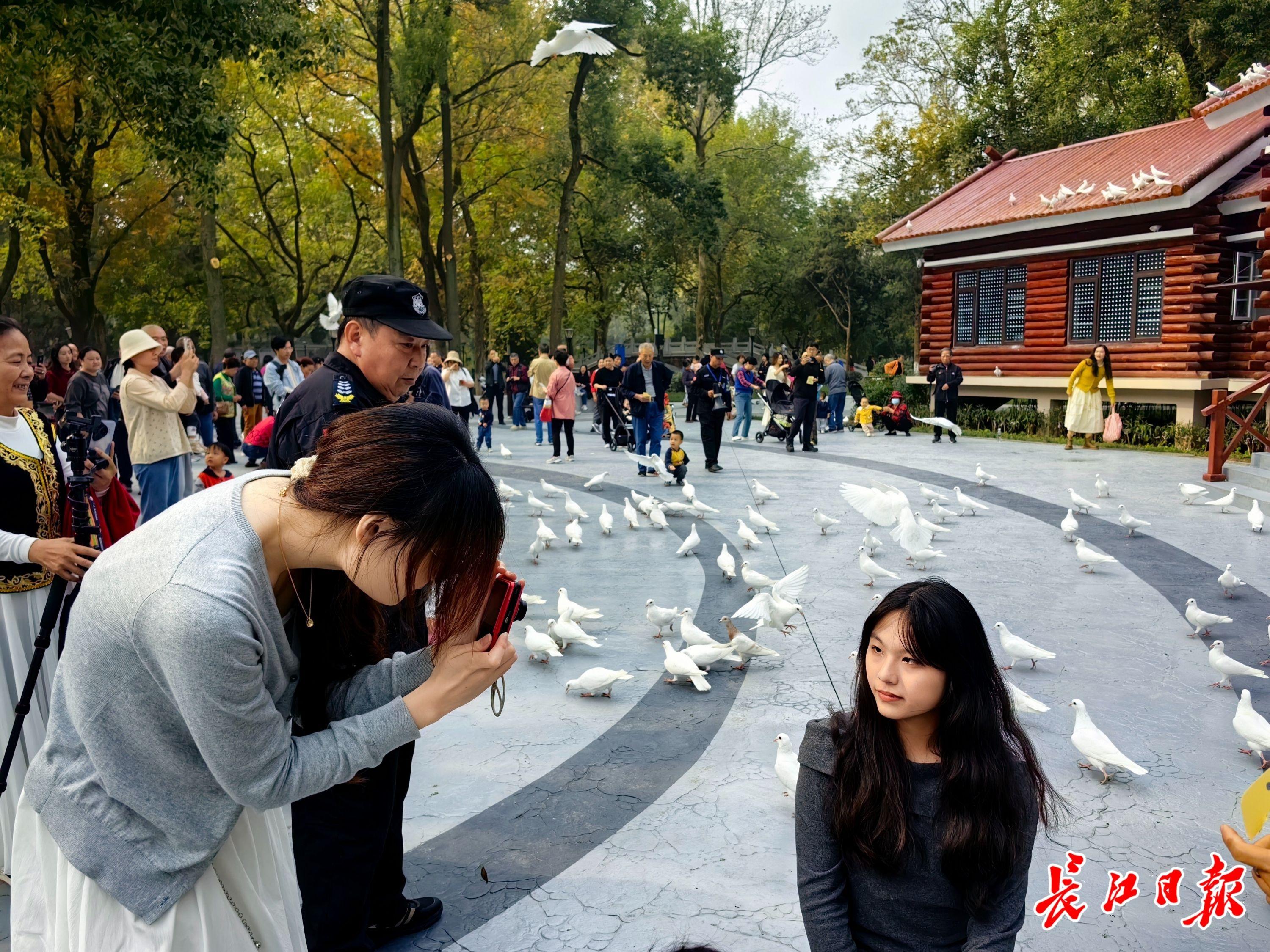 阔别近 10 个月，解放公园鸽子广场重新开放，市民：终于等到你  第4张