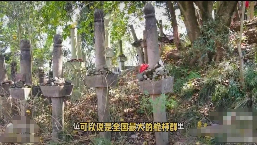 四川惊现神秘石桅杆群，堪称全国最大，真相究竟如何？