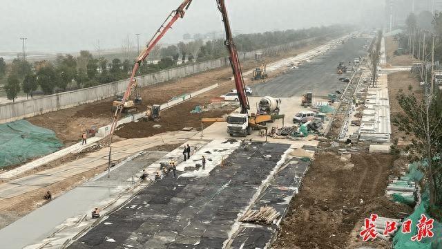 武昌区临江大道近 300 棵树被勒，景观灯非得这样亮吗？