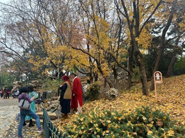 公园秋意浓，游客却为拍照践踏草坪，文明劝导为何如此无力？