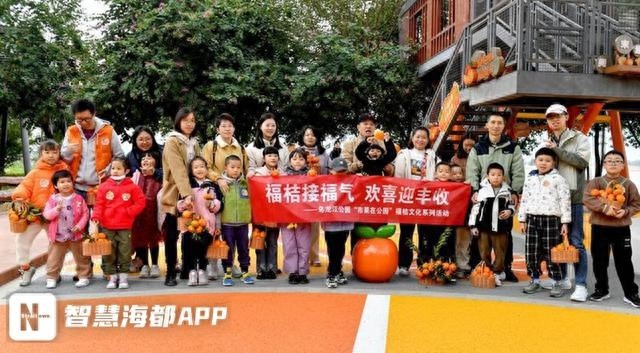 福橘采摘活动火热开启，亲子家庭欢乐迎丰收，最大最熟的福橘等你来摘  第1张