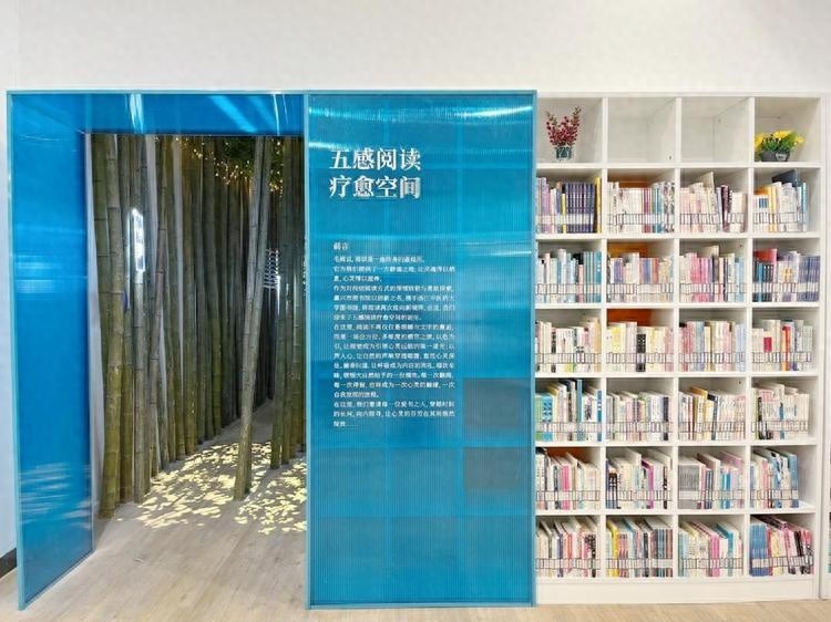嘉兴市图书馆首创五感阅读疗愈空间，带你开启全方位感官之旅