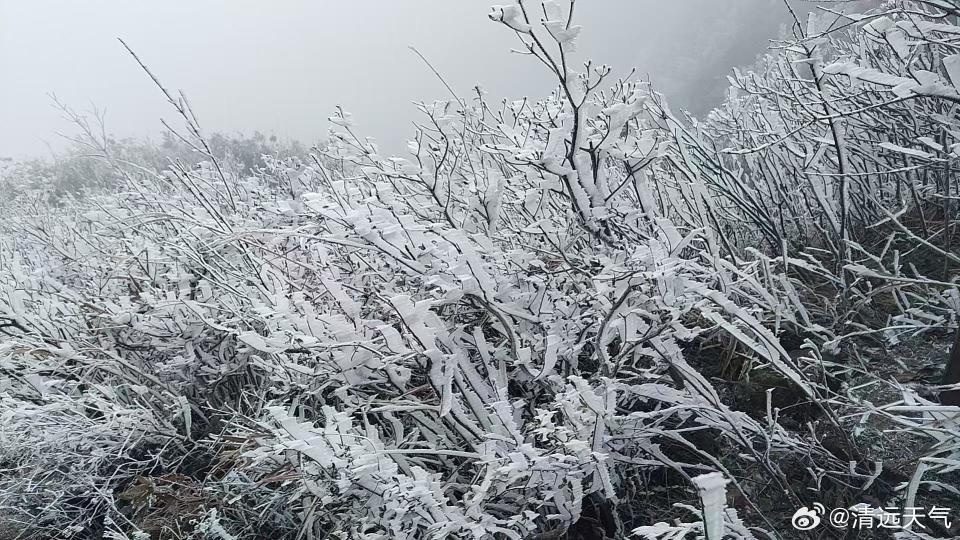广东人注意！冷空气来袭，清远惊现雾凇冰冻，冰雪童话世界等你来体验  第3张
