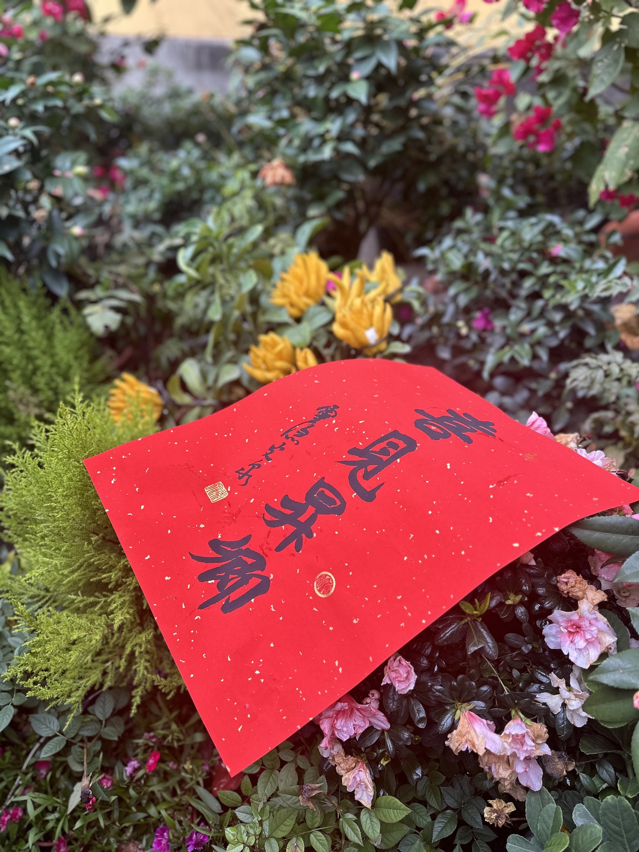 灵隐新年年历即将发放！10家小店免费领取，升卿祝福等你来拿  第2张