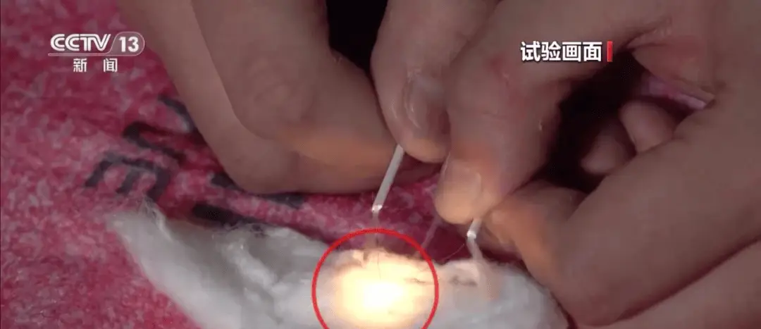 凌晨惊魂！电热毯自燃引发火灾，情侣17楼窗沿待援，生命悬于一线  第6张