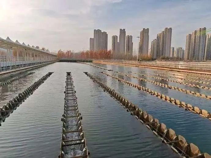 南水北调十年巨变：郑州水质飞跃，东周水厂双膜工艺引领未来  第2张