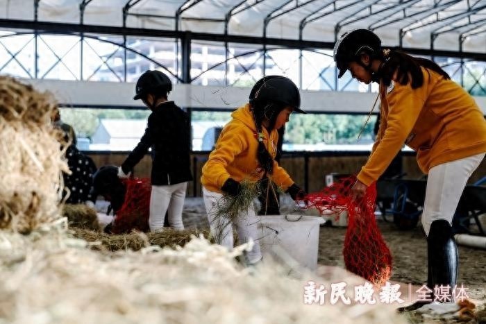 12月14日马房管理挑战大赛揭秘：如何让骑手与马术文化完美融合？  第1张