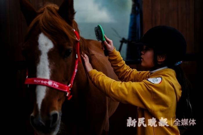 12月14日马房管理挑战大赛揭秘：如何让骑手与马术文化完美融合？  第2张