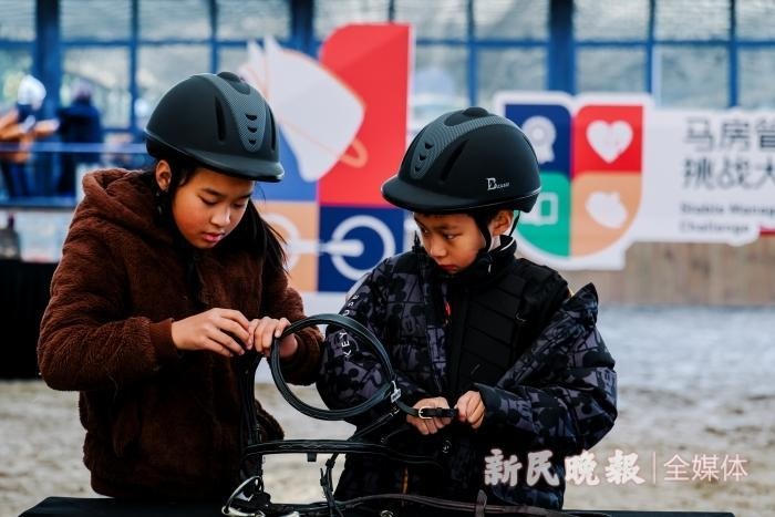 12月14日马房管理挑战大赛揭秘：如何让骑手与马术文化完美融合？  第4张
