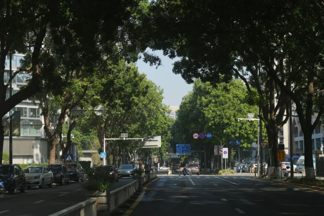 市中心漫游指南：南城医院到鸿福商业中心，文化艺术科技一日游全攻略  第11张