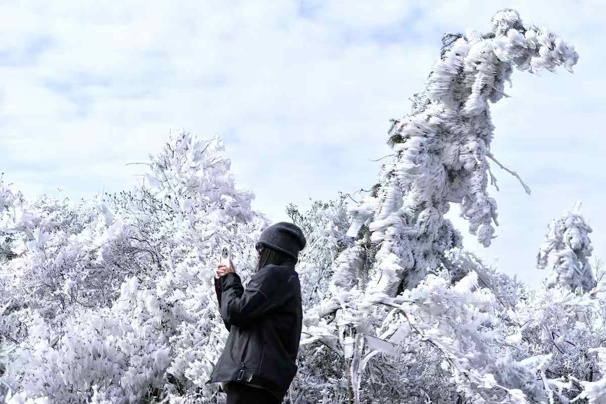 柳州即将迎来极寒天气！-5℃冰冻来袭，你准备好了吗？  第2张
