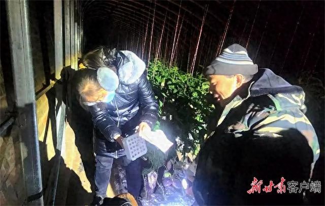 零下低温也不怕！农技人员手把手教你大棚增温秘诀，种植户直呼太实用