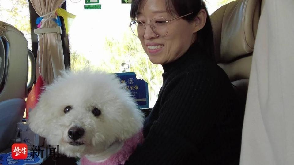 无锡惊现宠物巴士！狗狗也能和主人一起坐公交出游，你敢信？  第2张