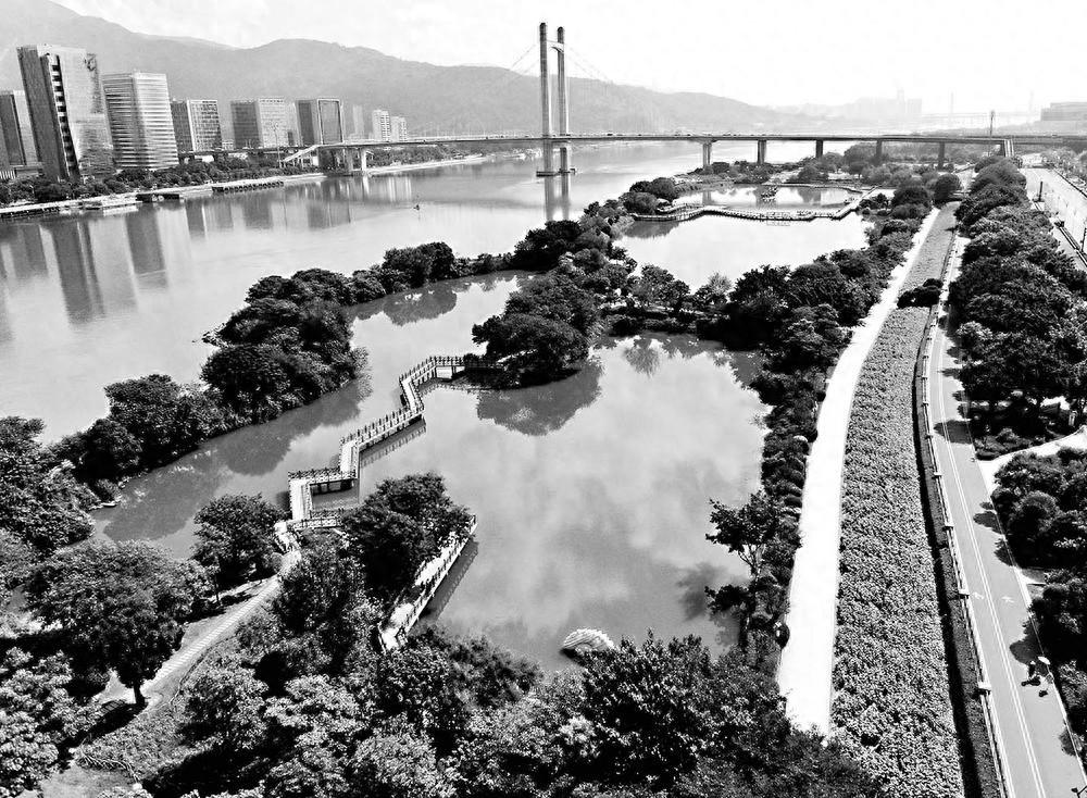 花海公园五曲桥翻新重建，游园体验感大大增强  第1张