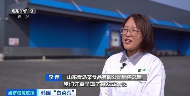 韩国进口中国大白菜，国产泡菜企业积极扩大产能，产销两旺  第2张