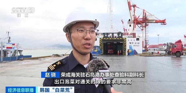 韩国进口中国大白菜，国产泡菜企业积极扩大产能，产销两旺  第4张