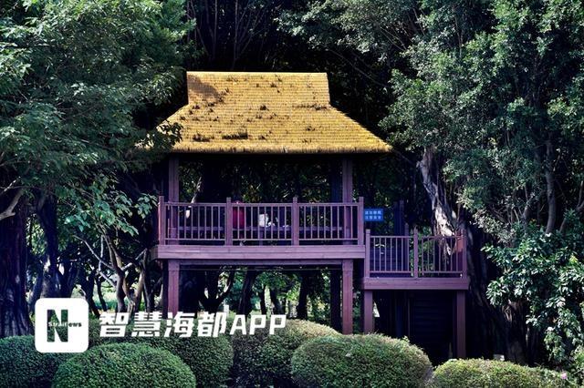 福州花海公园五曲桥翻新重建，焕然一新！你还不来打卡吗？  第2张