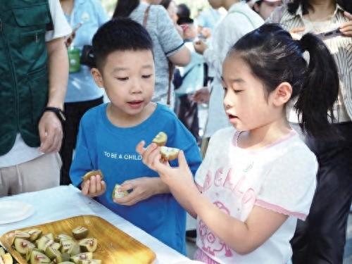 快来参加国家猕猴桃种质资源圃科普开放日，探寻猕猴桃的前世今生  第1张