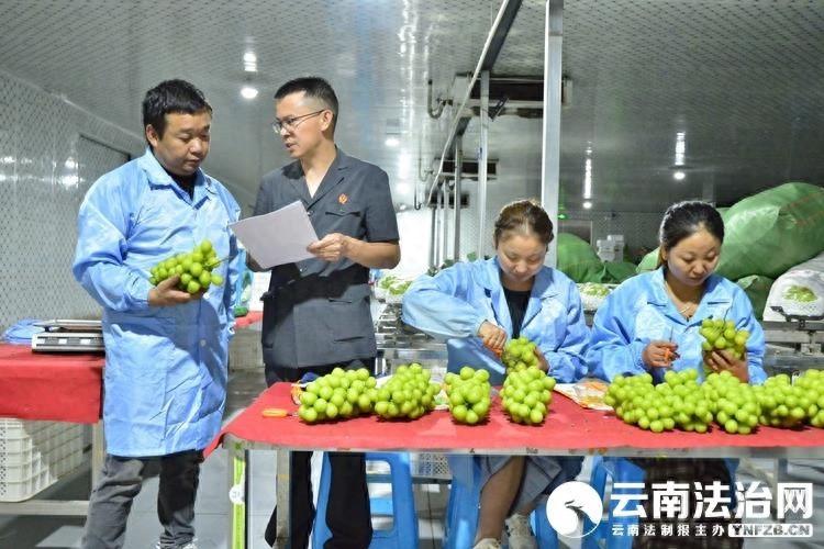 水果产业法庭：为涉纷果子保鲜，按下调解快捷键  第1张