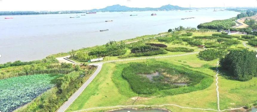 一年过去，三江营生态岛试验区二期项目究竟建得咋样了？  第2张