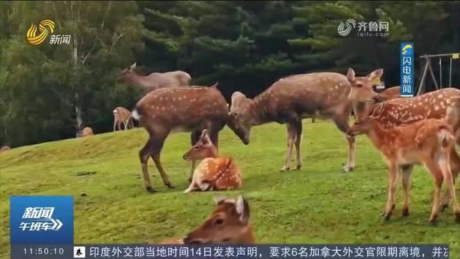国庆后旅游价格大跳水！机票低至 1 到 2 折，线路报价直降 2000 元  第2张