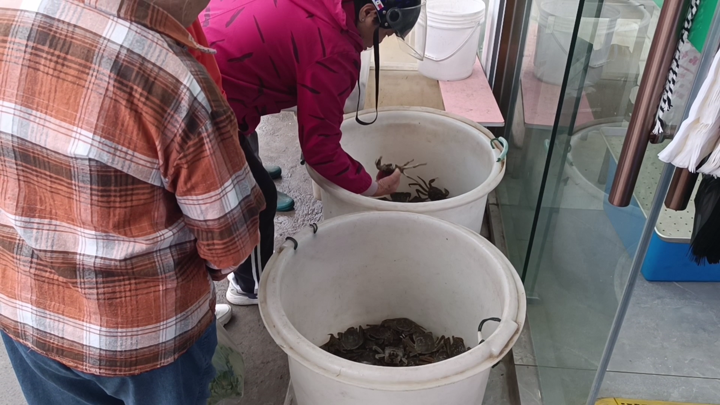 秋风起蟹脚痒，大闸蟹大量上市价格亲民，市民纷纷抢购尝鲜  第2张