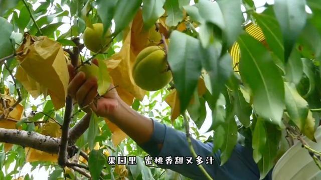 佘山本土网红外卖小哥，凭什么能与百万粉丝博主合唱？  第2张