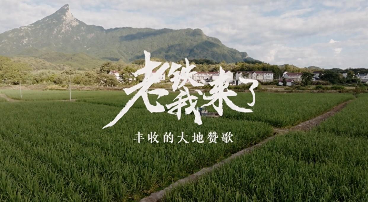 老外探寻中国乡村丰收之谜，见证粮食安全背后的金融力量