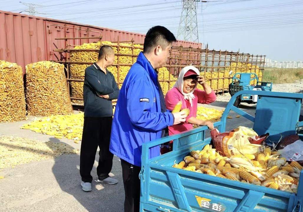粮食安全大如天，纪检监察来护航！秋粮颗粒归仓，他们功不可没  第2张