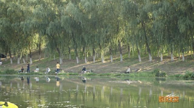 公园+：城市里的田园牧歌，你体验过吗？