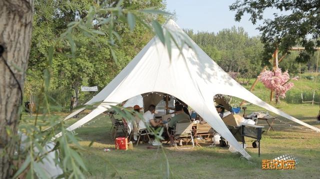 公园+：城市里的田园牧歌，你体验过吗？  第4张