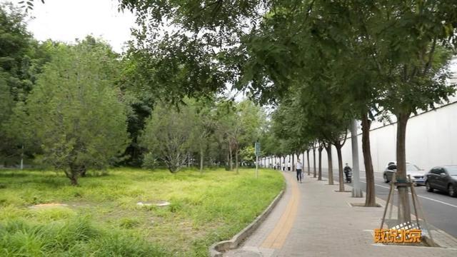 公园+：城市里的田园牧歌，你体验过吗？  第9张