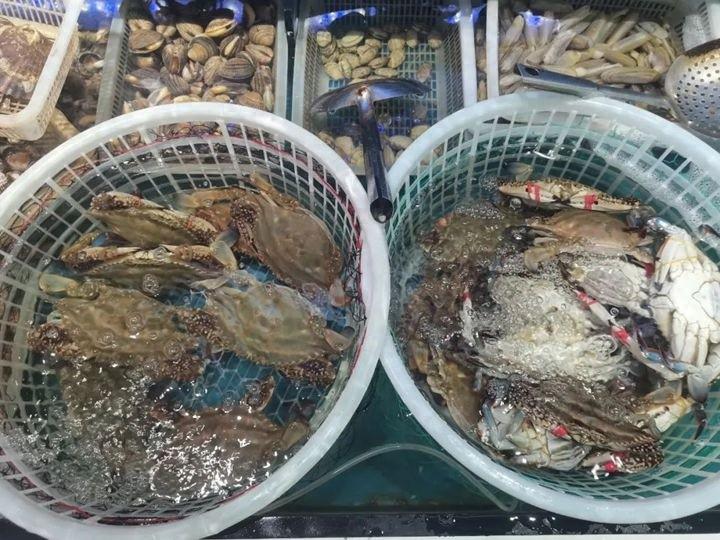 沧州梭子蟹价格大跳水！肉肥籽多，便宜到超乎想象