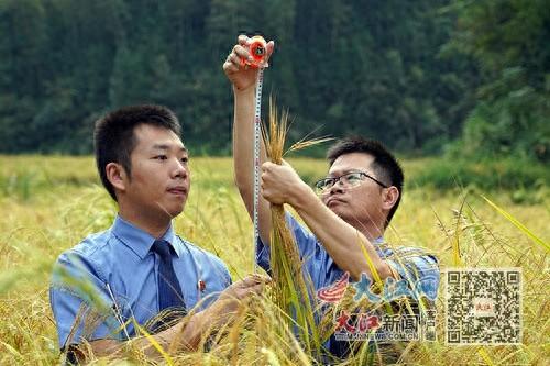 12000 年的栽培稻遗存！万年贡谷的前世今生，你知道多少？  第1张