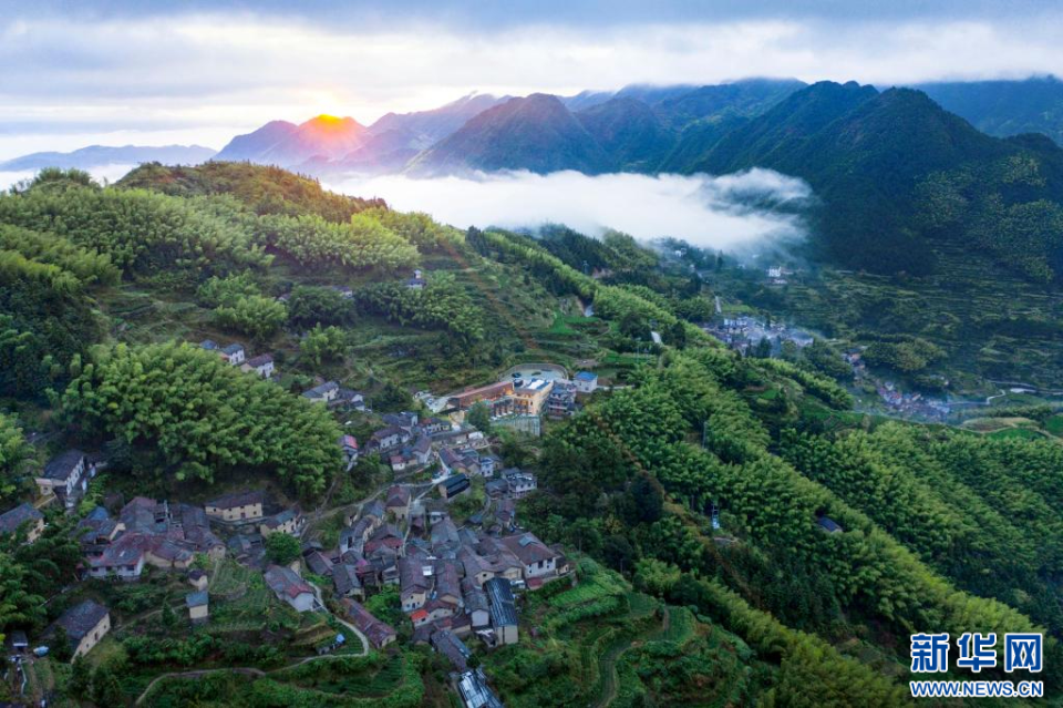 北京女子独居山间五年，打造绝美美术馆，与村民自然相融，松阳古村落的独特魅力  第2张
